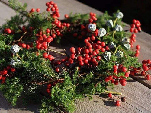 6種圣誕花環(huán)的制作形式